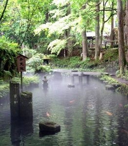 Japanse Garden