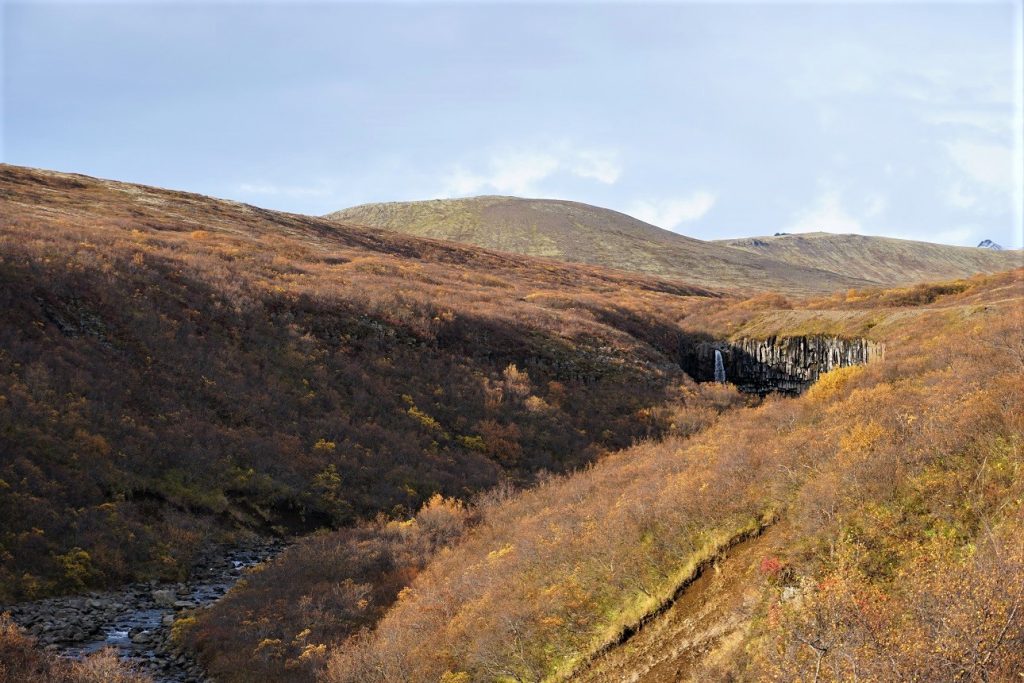 Svartifoss Iceland