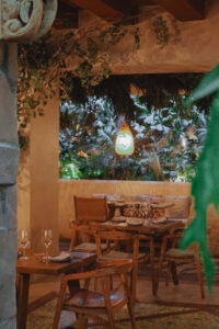 Voltereta Bali – Valencia