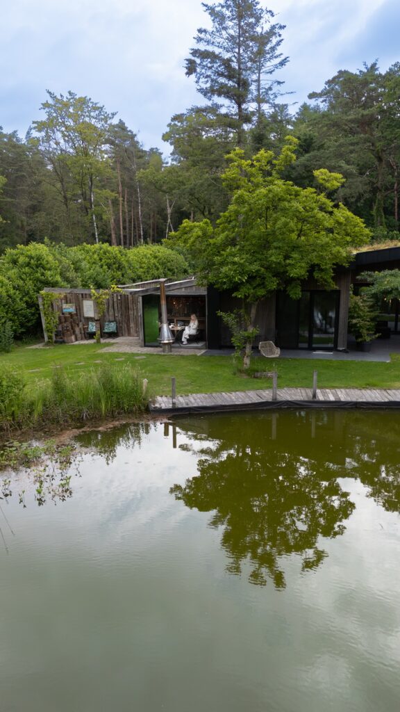 Droom in het Bos
