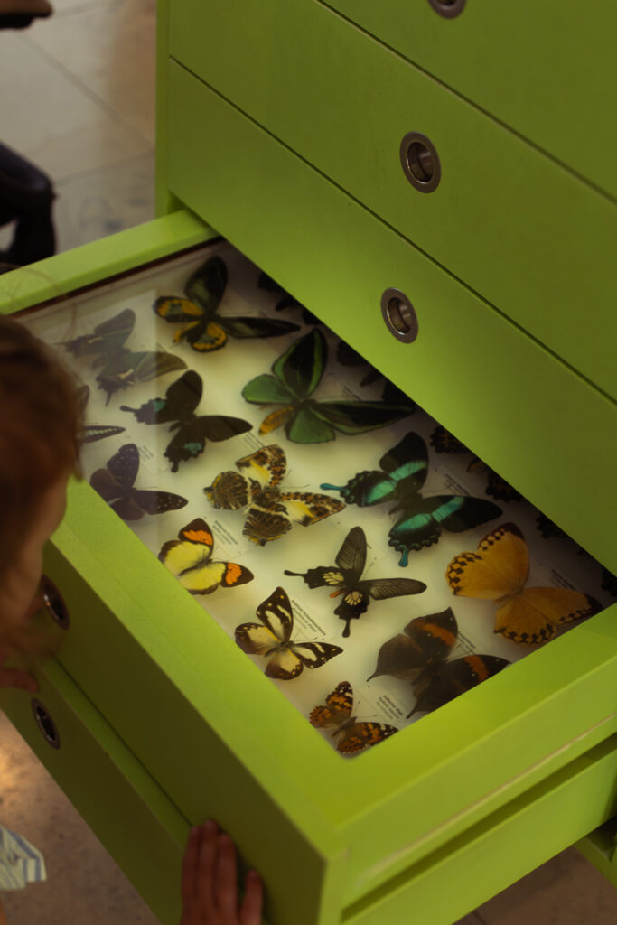 Staatliches Museum für Naturkunde Karlsruhe
