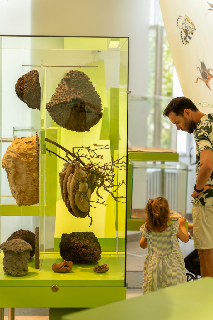 Staatliches Museum für Naturkunde Karlsruhe