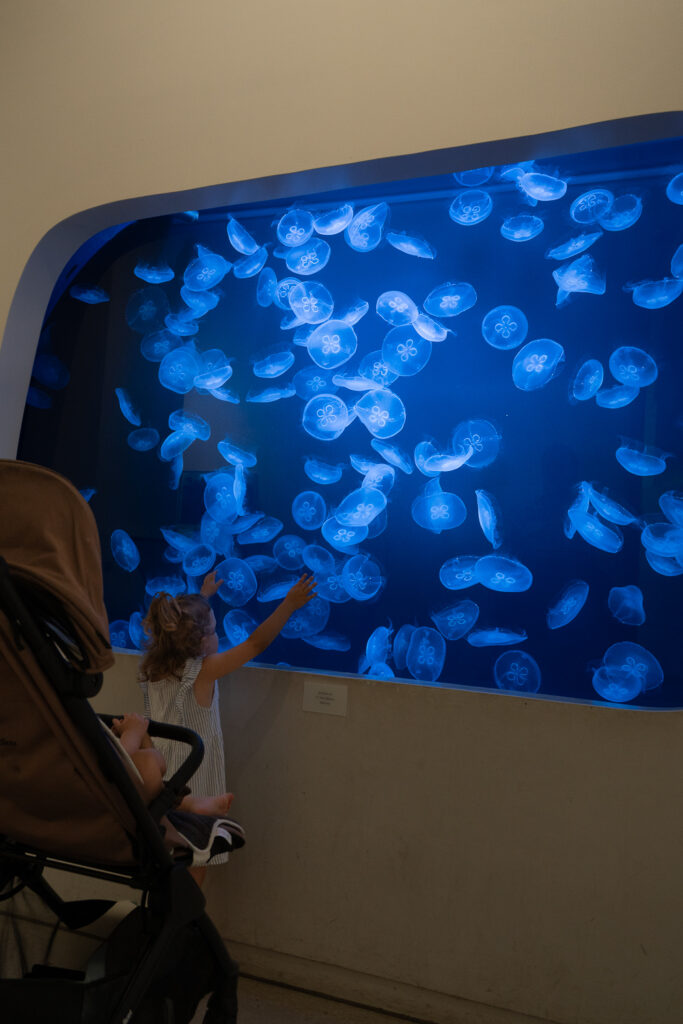 Karlsruhe met kinderen